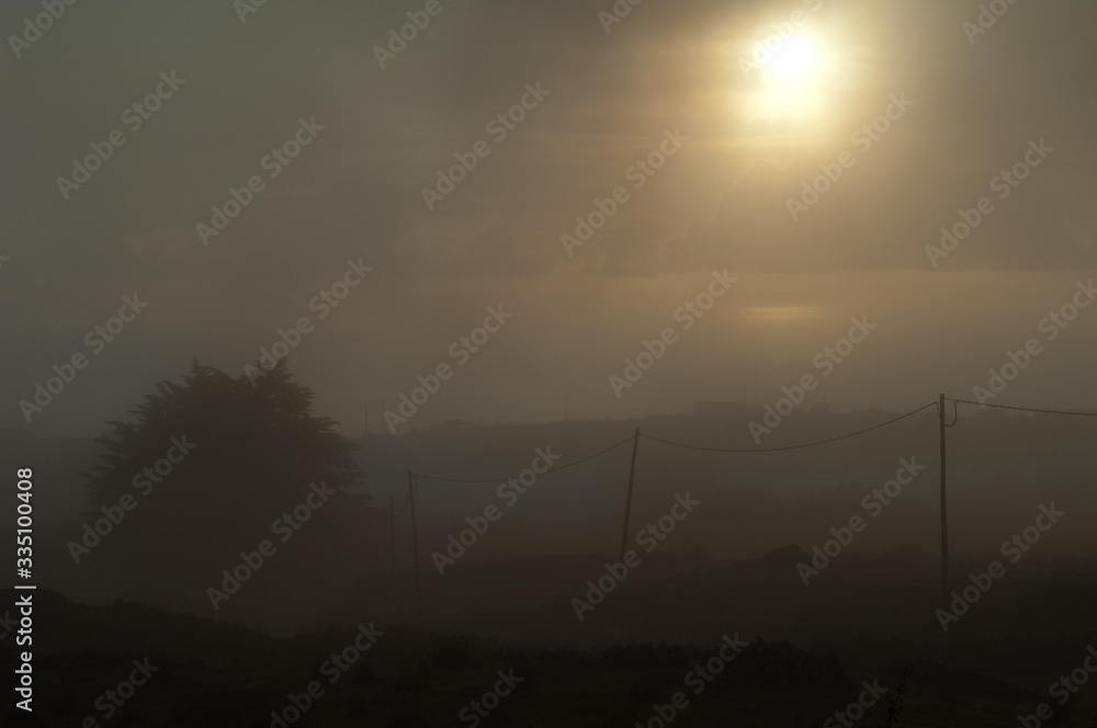 Landscape against the light in the fog. Valverde. El Hierro. Canary Islands. Spain. Landscape against the light in the fog. Valverde. El Hierro. Canary Islands. Spain.