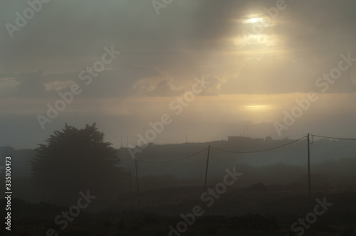 Landscape against the light in the fog. Valverde. El Hierro. Canary Islands. Spain.