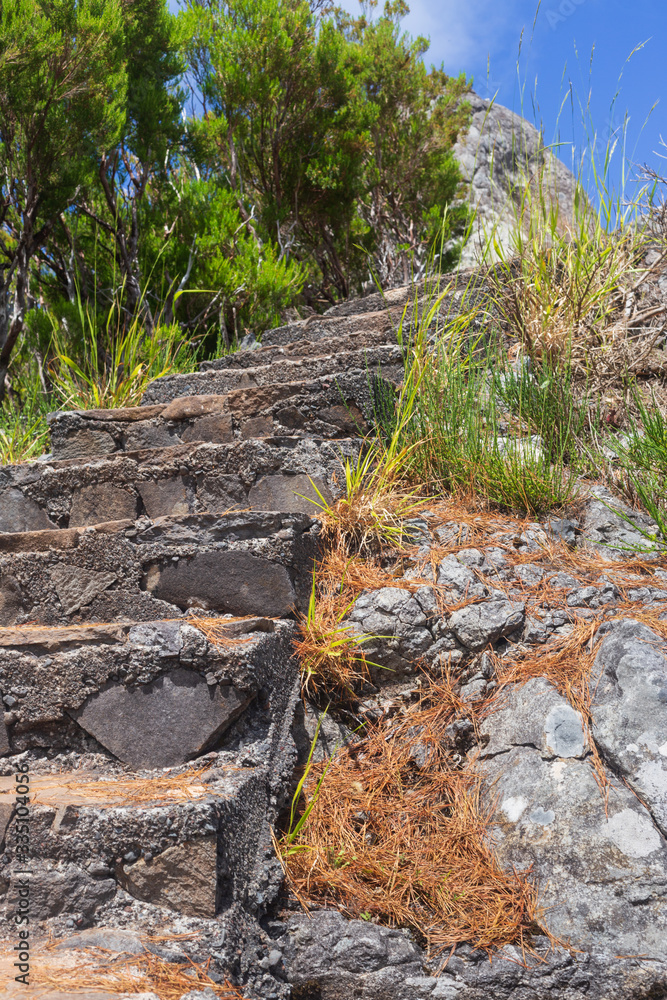 A stone staircase on a hiking trail in the mountains of Madeira, Portugal. A stone staircase on a hiking trail in the mountains of Madeira, Portugal.