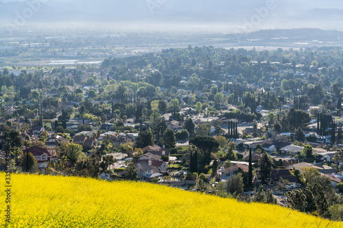 Spring wildflowers, homes a...