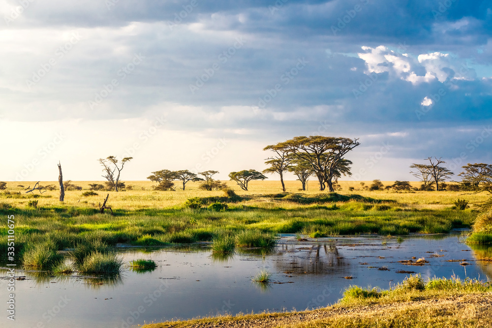 Lake in the Serengeti Tanzania Africa - obrazy, fototapety, plakaty 