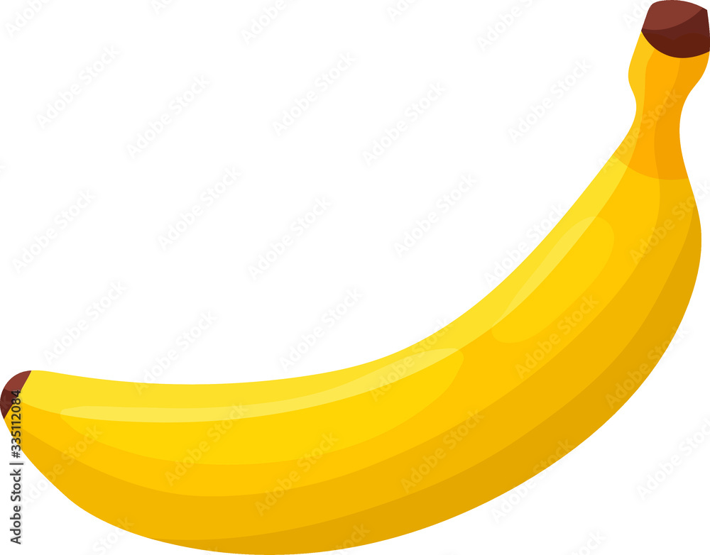 fresh banana on white background - vector