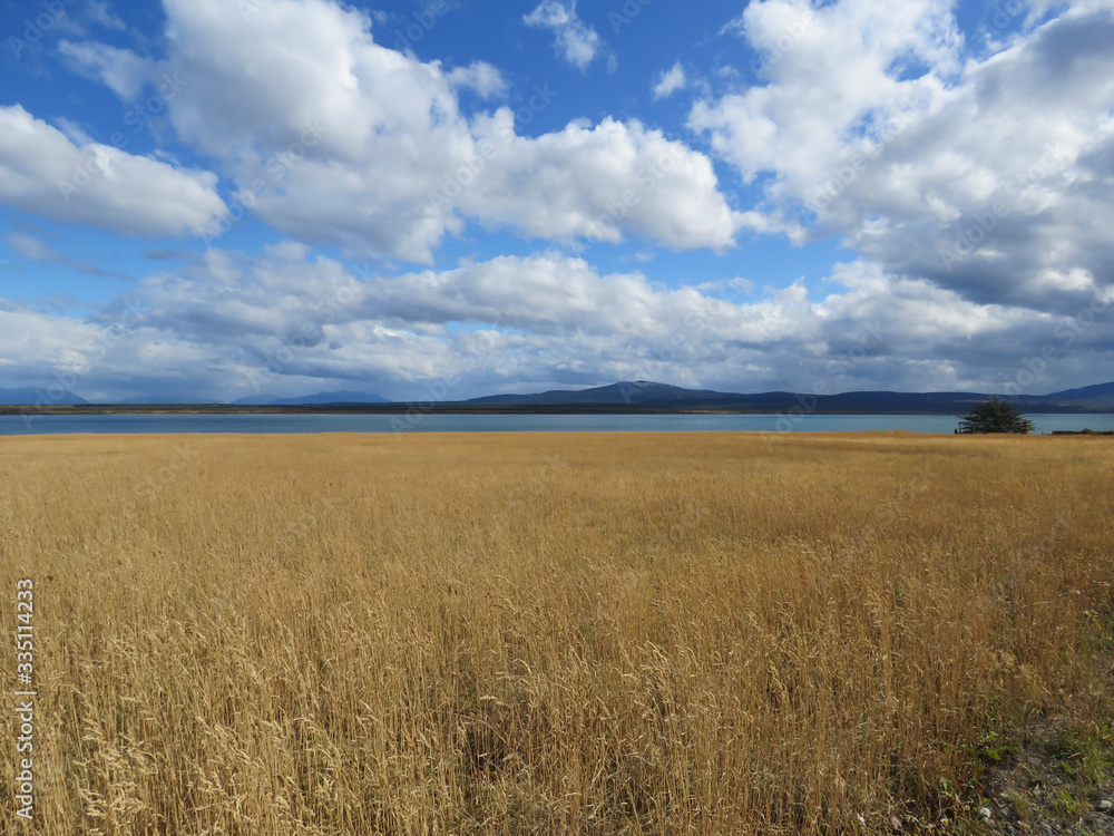 Puerto Natales, Patagonia, Chile: Ultima Esperanza (Last Hope) fjord and grass field