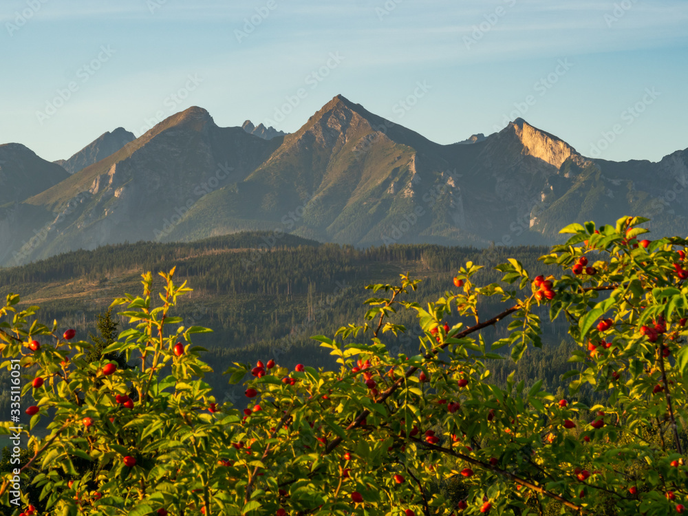 View over Tatra Mountains from Lapszanka pass, during the sunrise. Poland