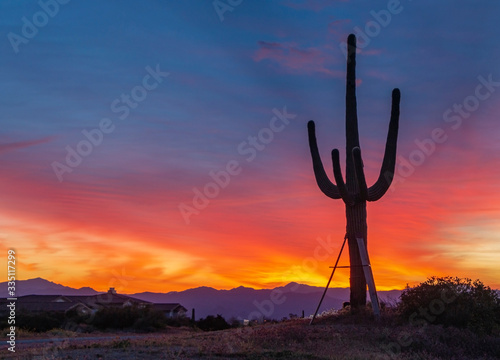 Silhouette of  Saguaro Cactus At Sunrise In Arizona © Ray Redstone