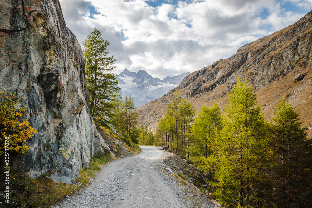 Beautiful road between larches in swiss Alps mountains near Zermatt town
