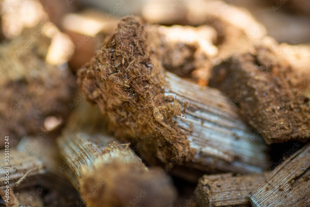 medicinal mushrooms chopped to pieces close up