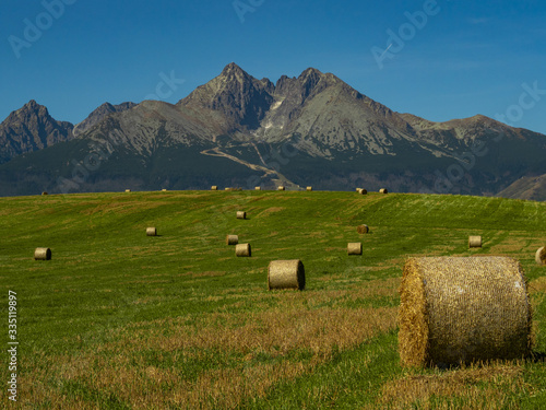 Fototapeta Naklejka Na Ścianę i Meble -  Beautiful summer panorama over Spisz highland with sheaves of hay to Tatra mountains, Poland