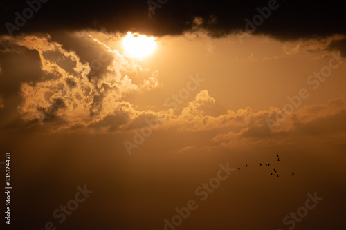 Flocks of birds flying over setting sun and orange clouds in Slovenia. 