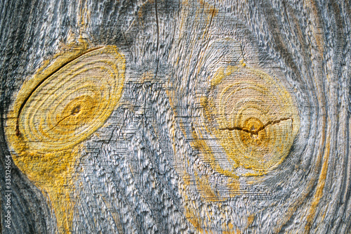 texture of an old board with a knot