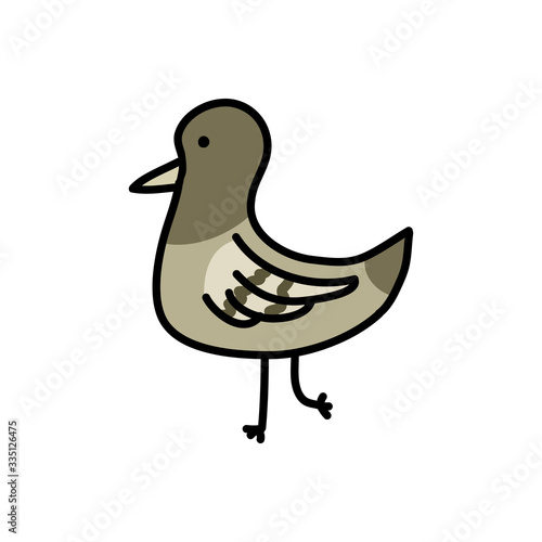 pigeon doodle icon, vector illustration