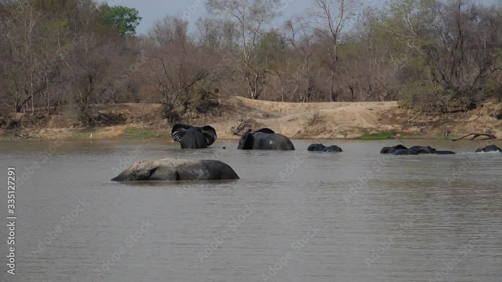 Elephants in Water seen from beach Elephants in Water seen from beach