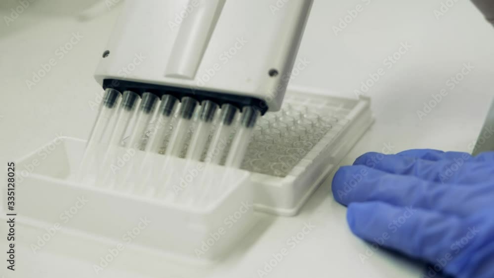 Laboratory tool is being used to fill glass tubes with fluids Laboratory tool is being used to fill glass tubes with fluids