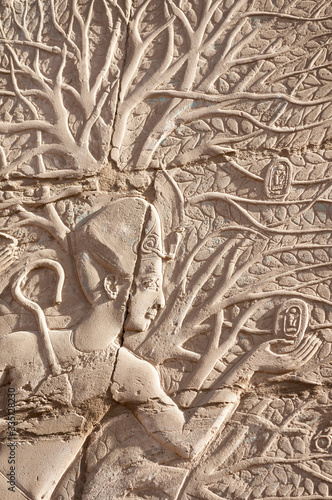 Canvas Print Hieroglyph of the ancient Egyptian pharaoh Ramses II kneeling at the Tree of Lif