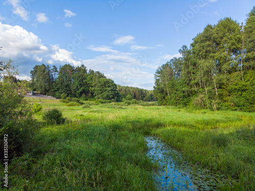 Small forest river on a summer day