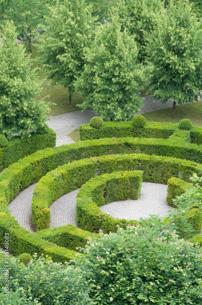 Maze Hedge Garden