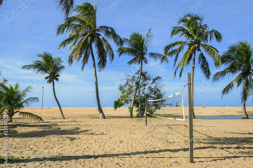 Beach volleybal court surounded by palm trees