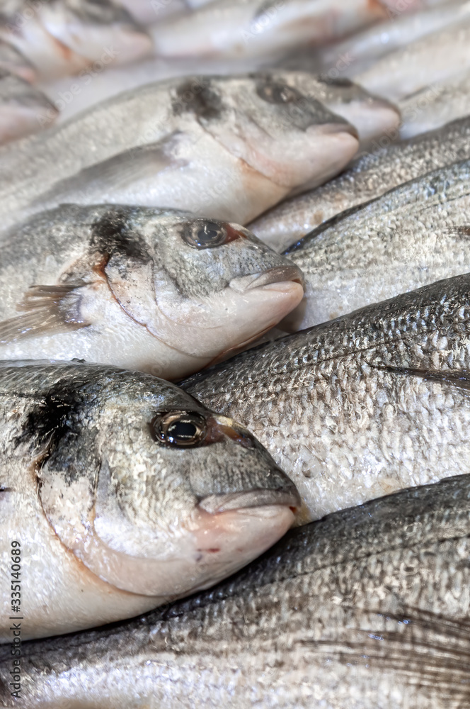 fresh sea fish dorado at local market or restaurant, vertical fresh sea fish dorado at local market or restaurant, vertical