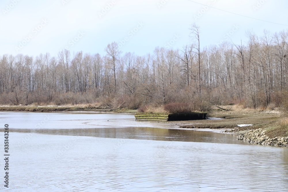 Sunken barge turned into a tree planter Sunken barge turned into a tree planter