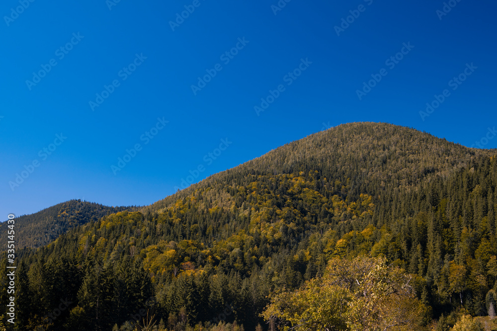 Carpathian mountains landscape forest green cover hill scenic view summer time season and clear weather blue sky nature