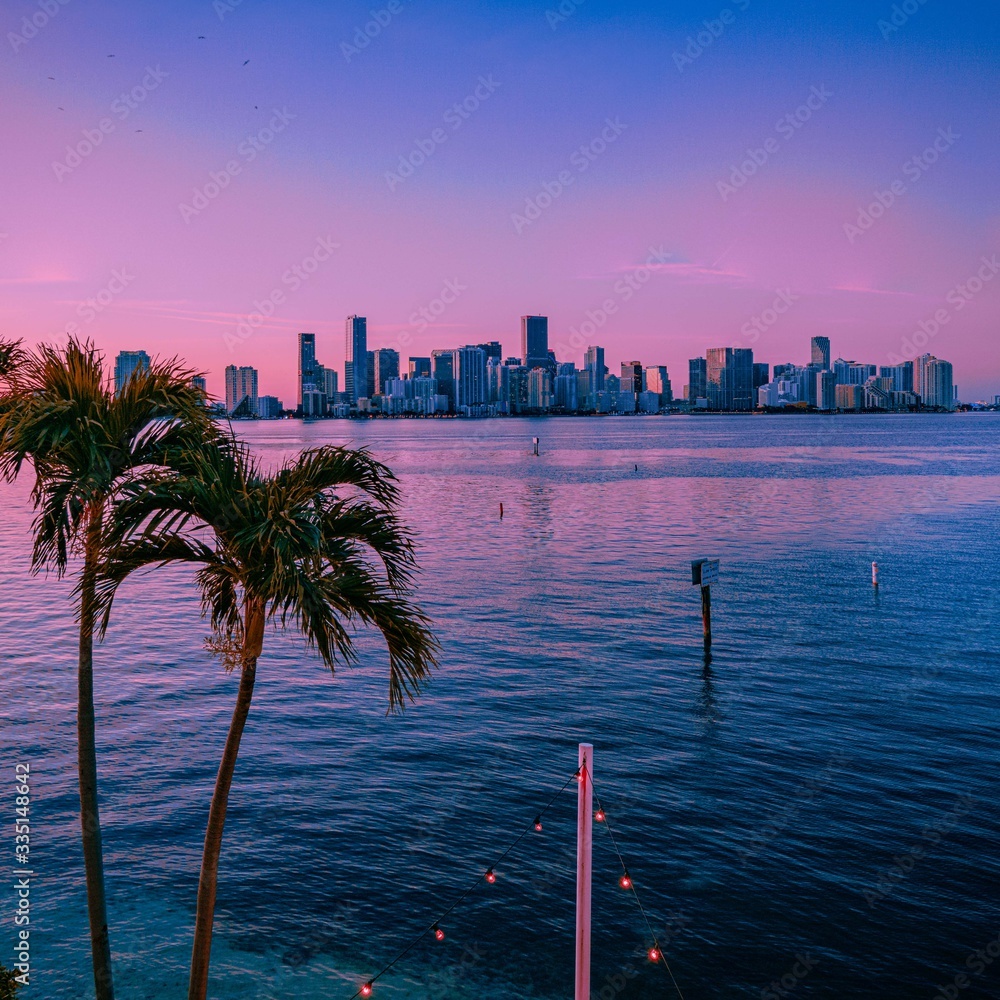 Obraz premium panoramę miasta miami wodny śródmieście wieżowiec budynki architektura palmy morze miejskie niebo krajobraz panorama wrażenia piękny zachód słońca na florydzie