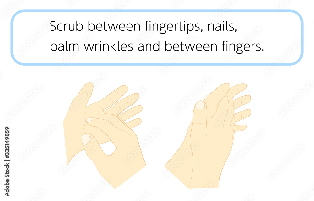 正しい手の洗い方 正しい手の洗い方