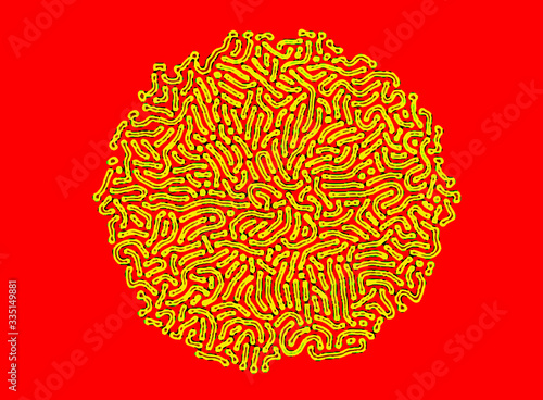 the Staphylococcus Aureus bacterias