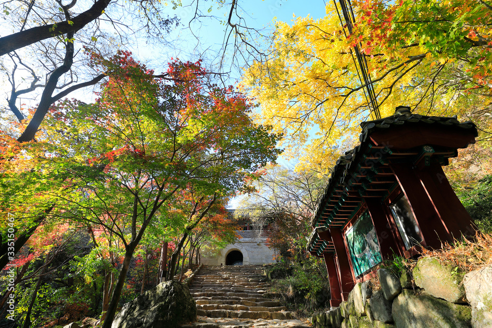 아름다운 가을 단풍과 한국의 전통 건축물
