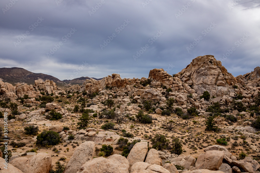 Fototapeta premium rockscape in the desert