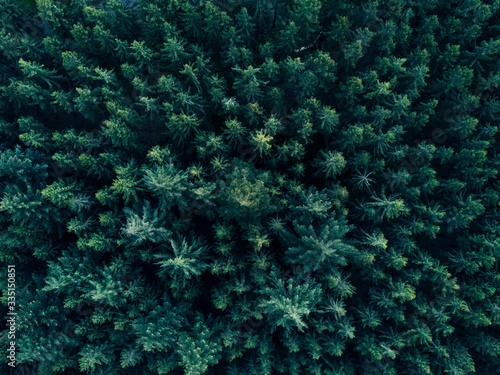 Aerial Overhead View of Forest Tree tops in super rich Dark Green color © 21AERIALS