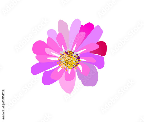 Flower illustration on isolate background .  floral vintage flat design.
