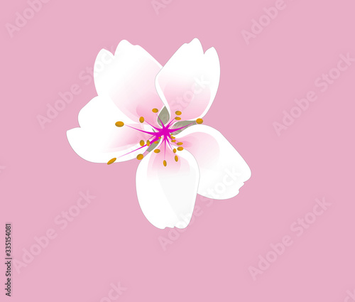 Flower illustration on isolate background . floral vintage flat design. 