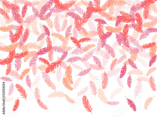 Detailed majestic feather on white design.