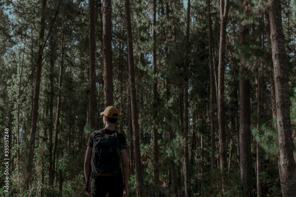 joven explorando bosque