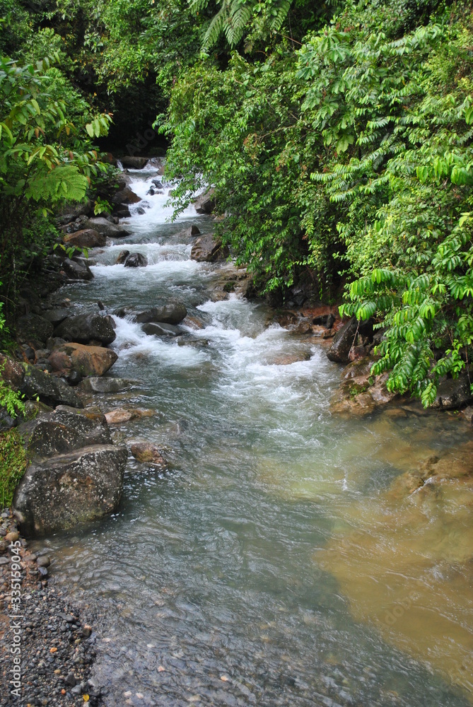 Rivers and waterfalls in the tropical forest of Panama Rivers and waterfalls in the tropical forest of Panama