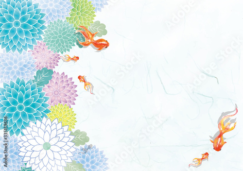 金魚：金魚　金魚すくい　泳ぐ　お祭り　おしゃれ　和　淡水魚　和風　アクアリウム