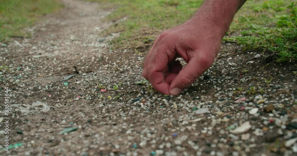 Plastic Resin Pellets Litter. also known as Nurdles Plastic Resin Pellets Litter. also known as Nurdles