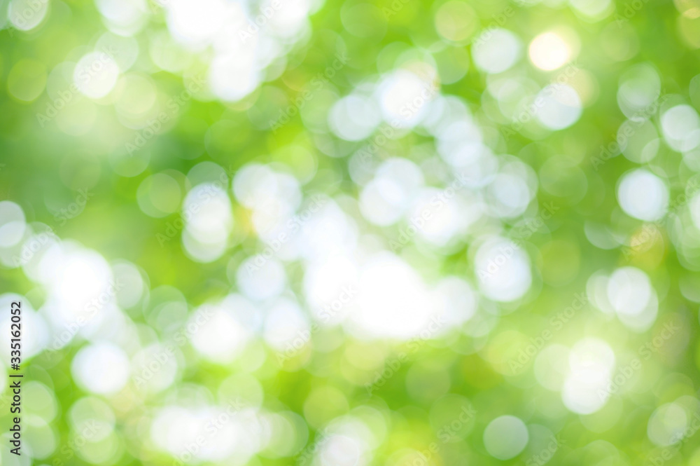 Green bokeh abstract background. Blurred green leaves of big tree with sunlight. Green bokeh abstract background. Blurred green leaves of big tree with sunlight.