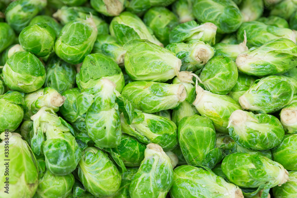 Fresh Brussel prrout for food Fresh Brussel prrout for food