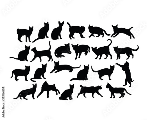Fototapeta Naklejka Na Ścianę i Meble -  Cat Activity Silhouettes, art vector design