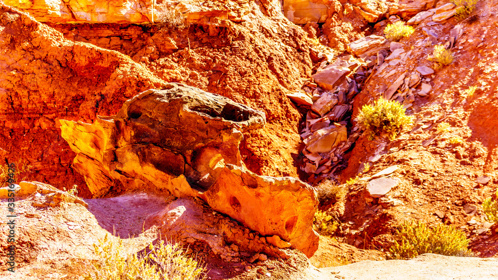 Erosion shaped this interesting Rock Formation like a Car along the Toadstool Trail between Page, Arizona an Kanab, Utah in Grand Staircase-Escalante Monument in the Unites States
