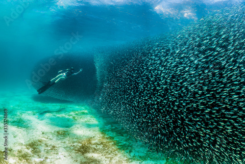 Diver swimming into a huge bait ball of small fish in clear turquoise water