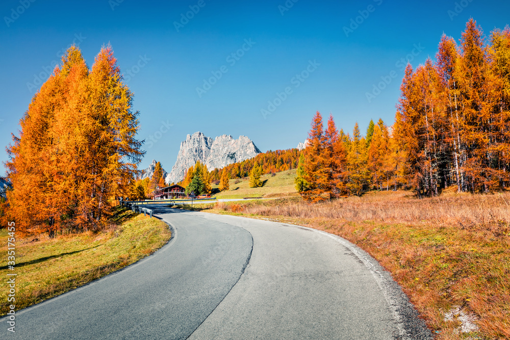Fantastic sunny view of Dolomite Alps with yellow larch trees. Colorful autumn scene in mountains. Giau pass location, Italy, Europe. Beauty of nature concept background..