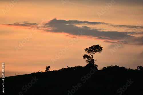 Sunset sunrise silhouette of trees over mountain background wallpaper