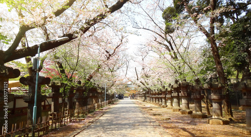 風景