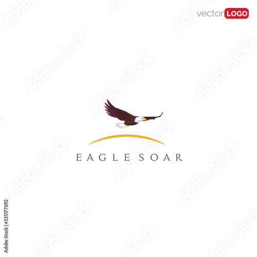 eagle soar in the sky icon/symbol/Logo Design Vector Template Illustration.
