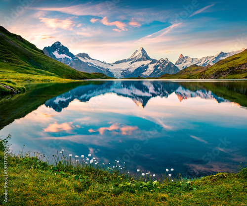 Fototapeta Naklejka Na Ścianę i Meble -  Blooming white tiny flowers on the shore of lake. Nice morning view of Bachalp lake (Bachalpsee), Switzerland. Wonderful summer scene of Swiss alps, Grindelwald, Bernese Oberland, Europe.