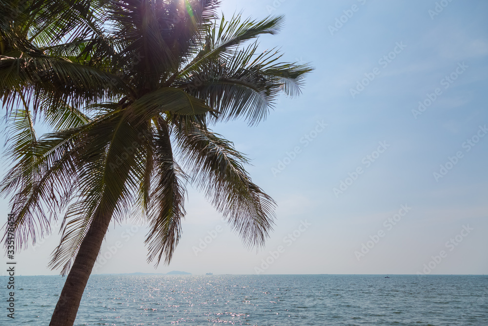 Fototapeta premium Coconut, sky and sea in sunny day on vacation holiday