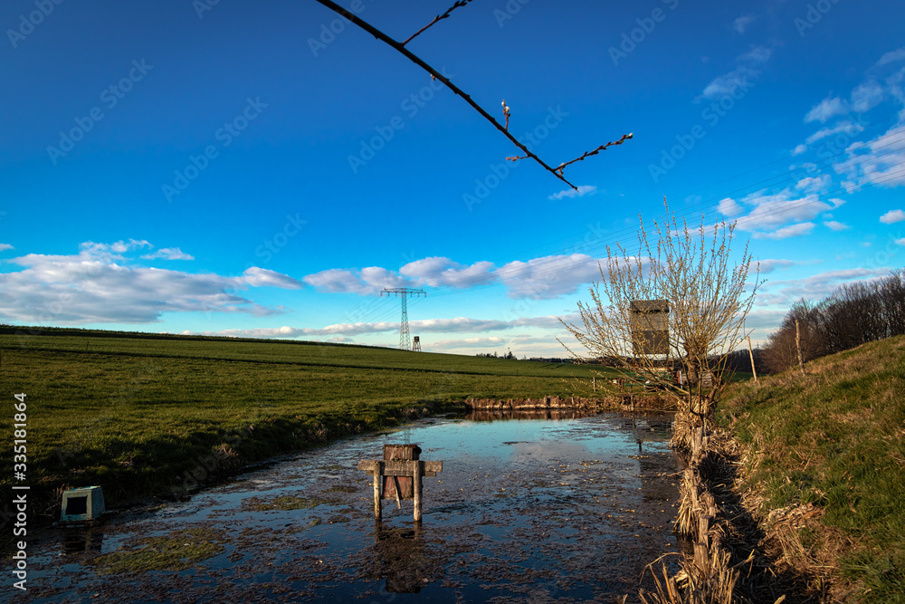 Teich, Weiher (vivarium), mit Entenhütte und Spiegelung des himmels im Wasser und Weidenblüten im Vordergrund, Strommast und Freileitung im Hintergrund Teich, Weiher (vivarium), mit Entenhütte und Spiegelung des himmels im Wasser und Weidenblüten im Vordergrund, Strommast und Freileitung im Hintergrund