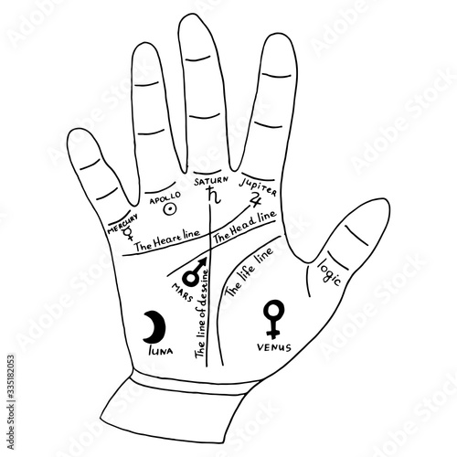 Hand for palmist, palm reading card.
